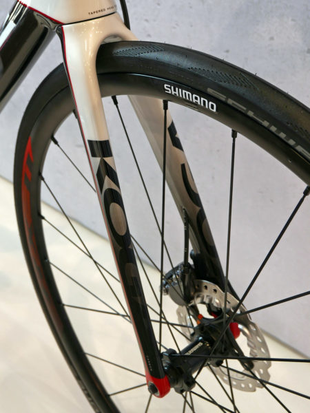 koga_kimera-road-premium-disc_carbon-disc-brake-road-race-bike_fork