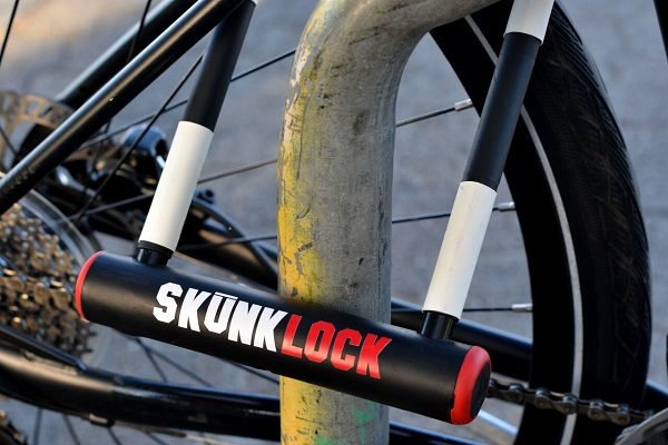 Skunk Lock close up