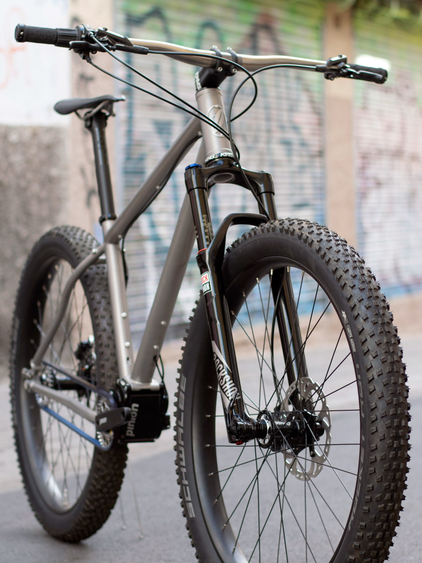 titanium pinion bike