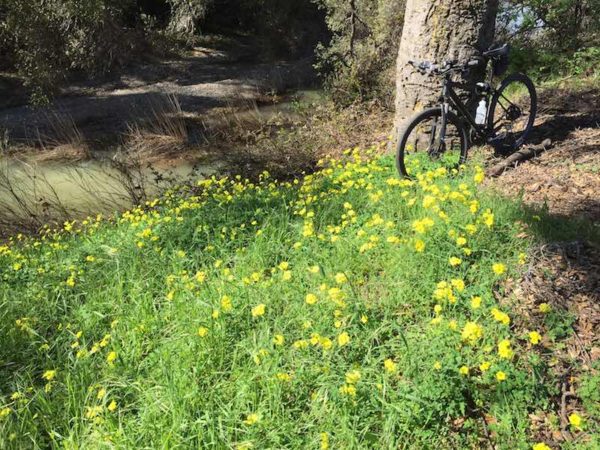 bikerumor pic of the day gilroy, california, uvas creek.