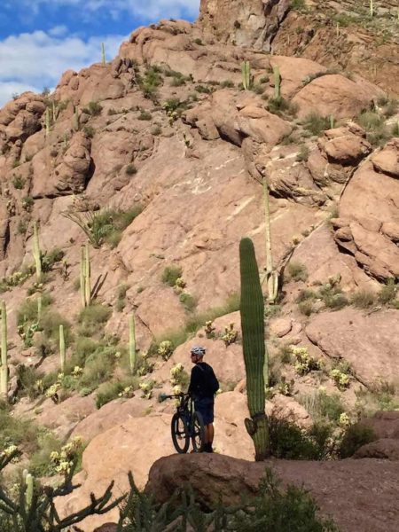 bikerumor pic of the day Tucson Mountain Park.