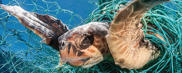 Axiom Oceanweave bags, sea turtle