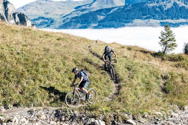 DT Swiss Hybrid E-MTB wheels, alpine riders