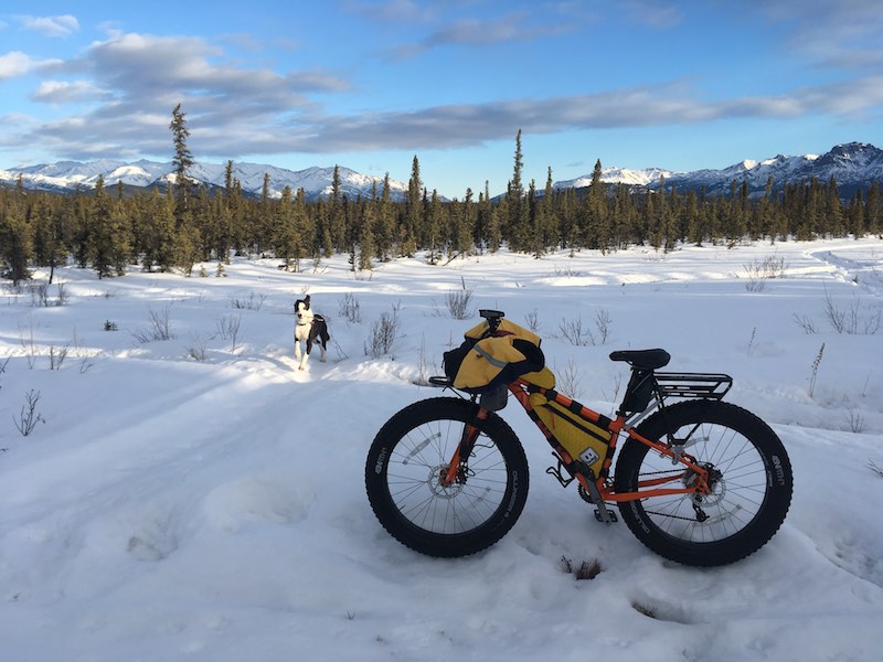 bikerumor pic of the day denali alaska fat bike ride with dog