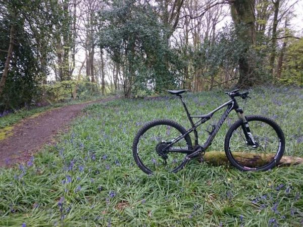 bikerumor pic of the day specialized epic among the bluebells of northern ireland