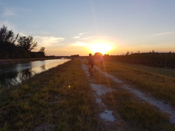 bikerumor pic of the day gravel riding among the alligators in homestead florida