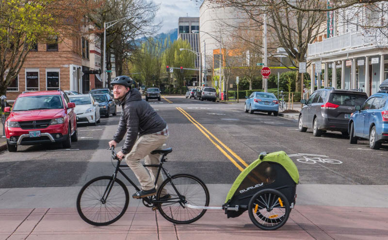 bicycle pull behind child carrier