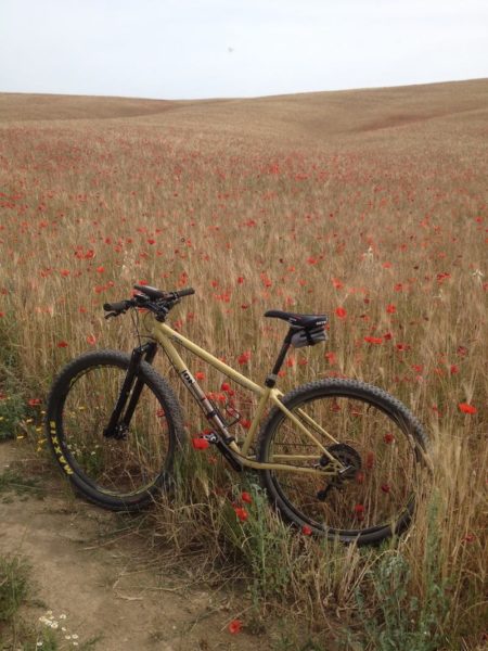 bikerumor pic of the day Rome, Italy, wheat field with poppies, no herbicides