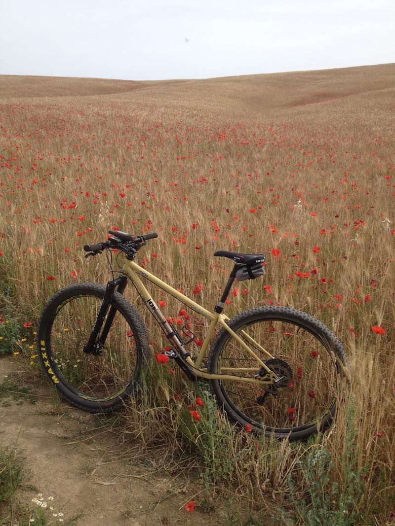 bikerumor pic of the day Rome, Italy, wheat field with poppies, no herbicides