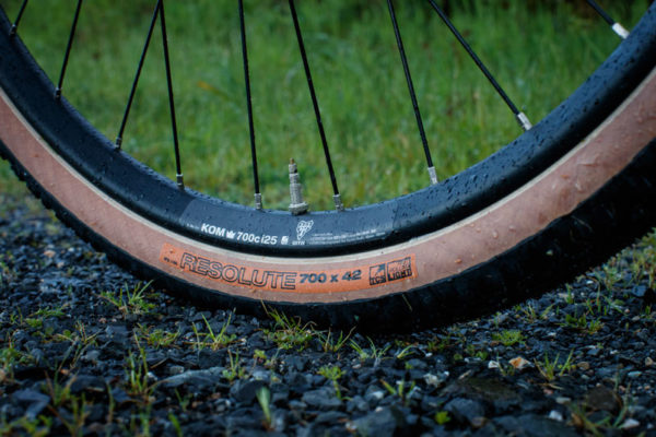 wtb resolute 42 gravel road bike tires for all weather conditions