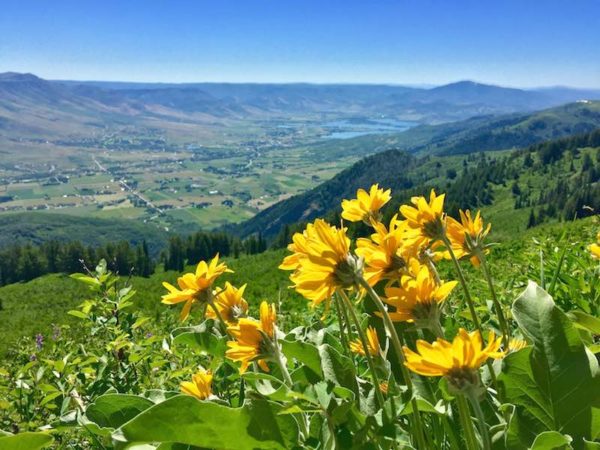 bikerumor pic of the day ogden utah single track