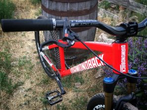 Eric Porter Diamondback DJ bike check magura industry nine reynolds deity (3)