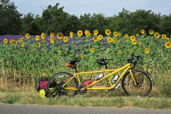 bikerumor pic of the day cannondale tandem bicycle tour Moustiers-Sainte-Marie towards Sainte-Croix-du-Verdon in Provence, France. In the lavender and sunflower fields