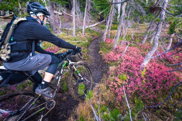 oregon timber trail 640 miles of singletrack multiday bikepacking epic adventure trip