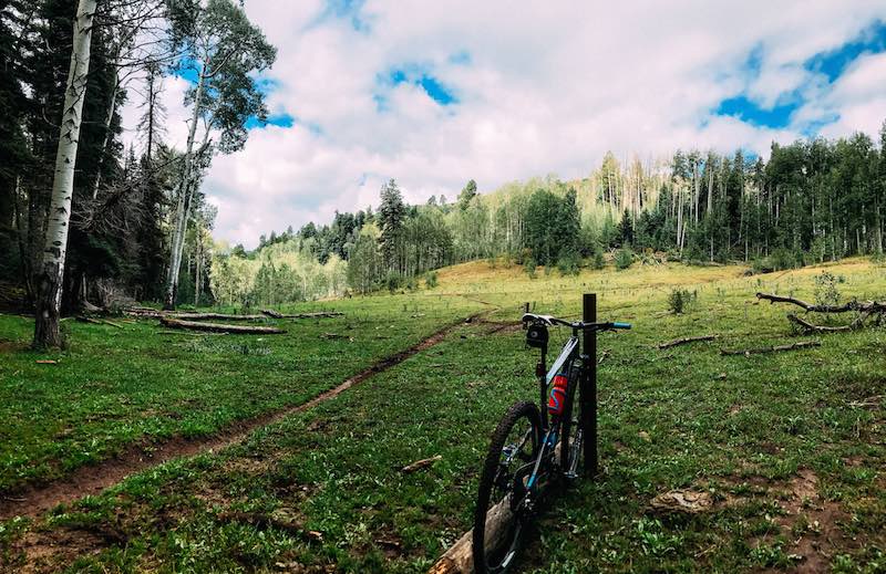 Bikerumor Pic Of The Day: Colorado Trail System