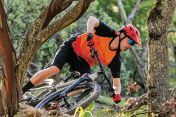 Marin Hawk Hill family aluminum 120mm MultiTrac full-suspension affordable trail mountain bikes Rift Zone 29er riding