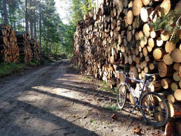 bikerumor pic of the day Chequamegon National Forest in northern Wisconsin.
