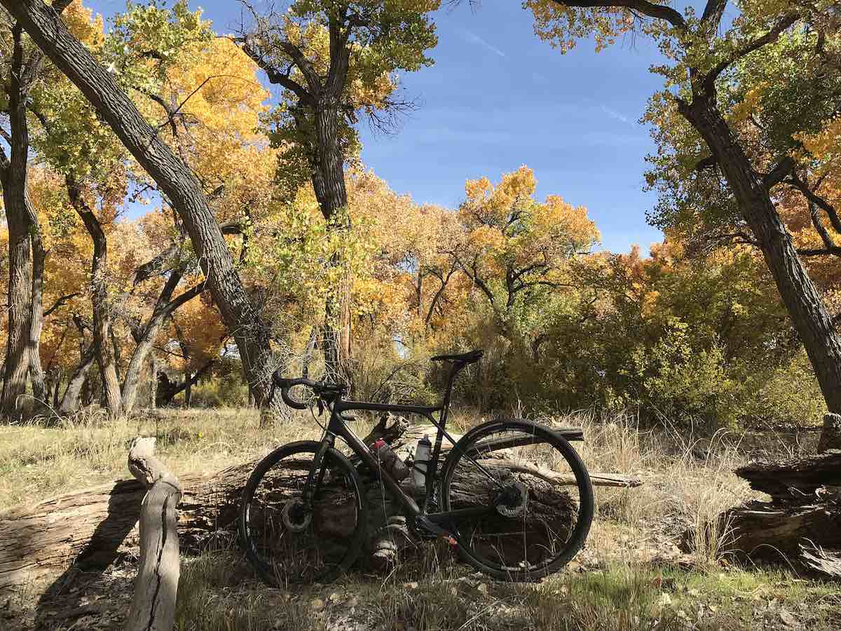 bikerumor pic of the day Fall bike ride in Albuquerque, New Mexico