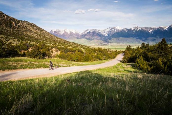 best gravel tyres for puncture resistance