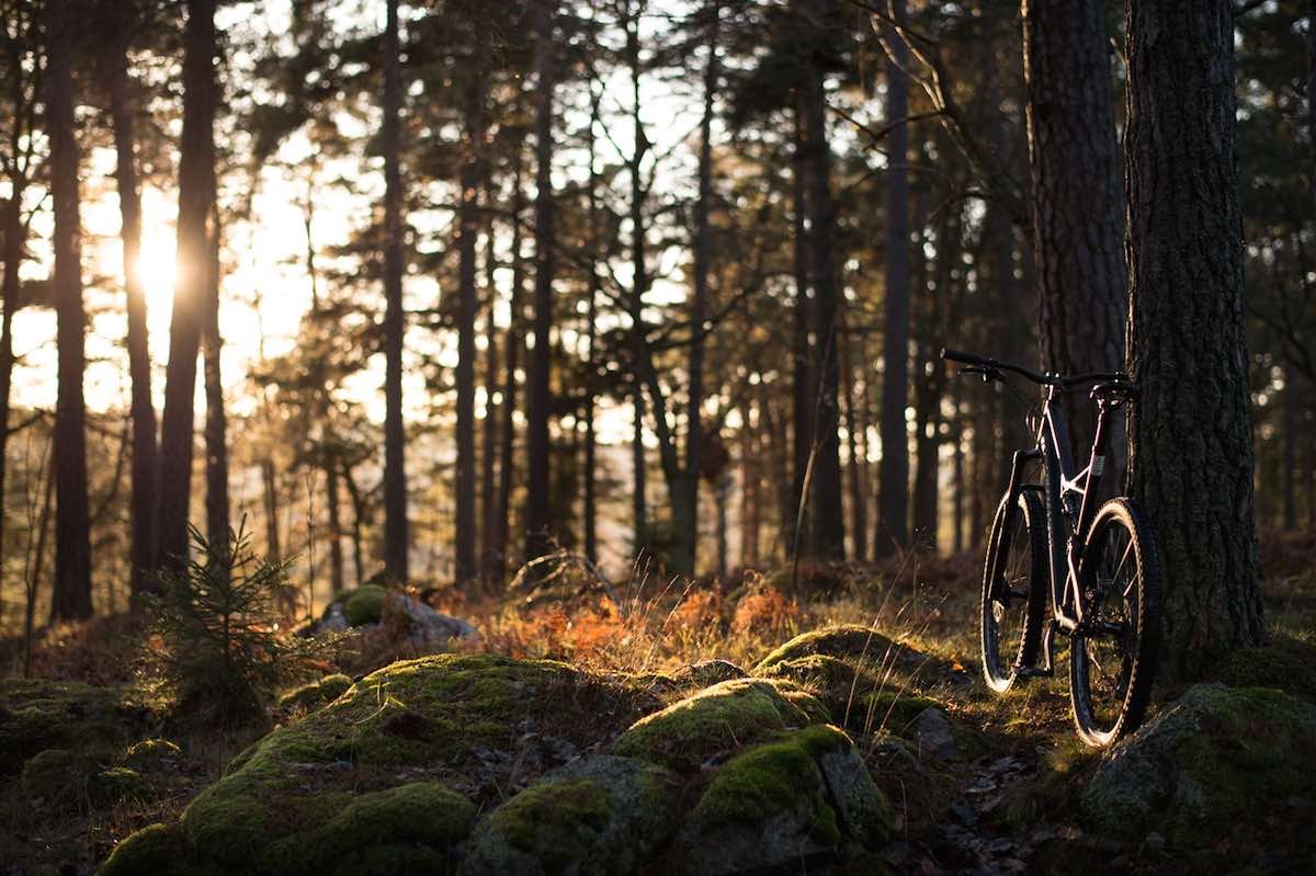 bikerumor pic of the day riding outside Stockholm Sweden.