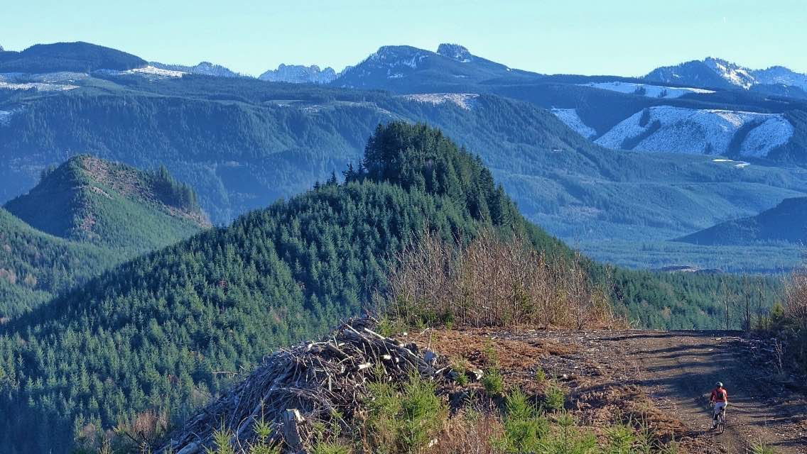 bikerumor pic of the day mountain biking in Snoqualmie forest, Washington State
