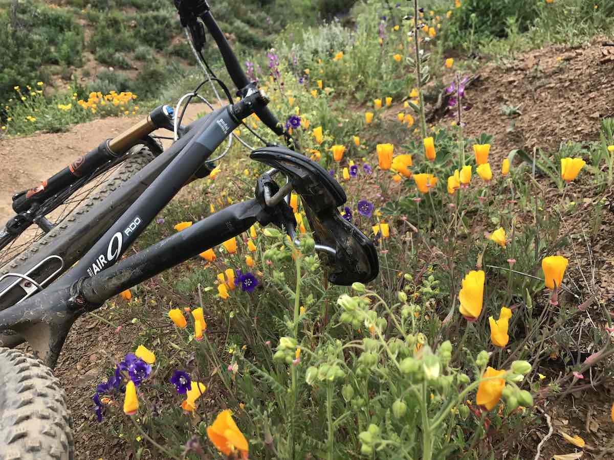bikerumor pic of the day, spring cycling in the santa monica mountains of California.