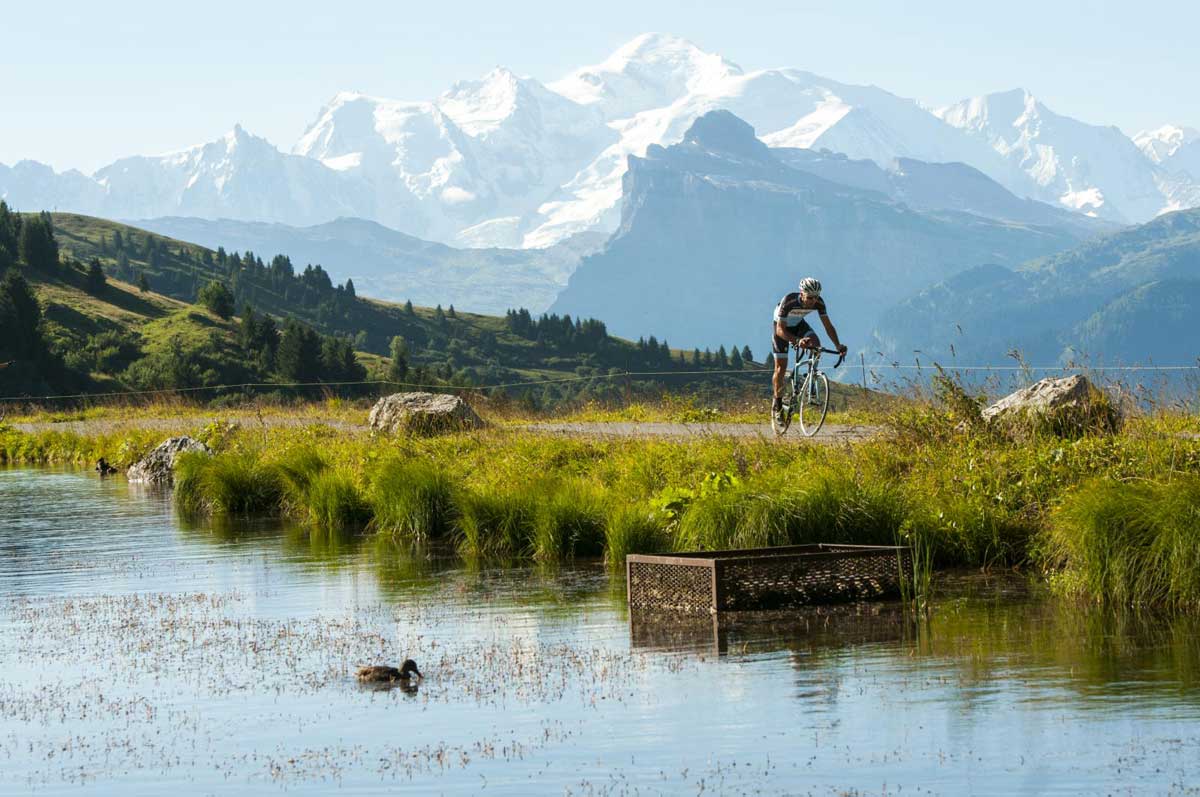 cross the alps on a bicycle with thomson bike tours