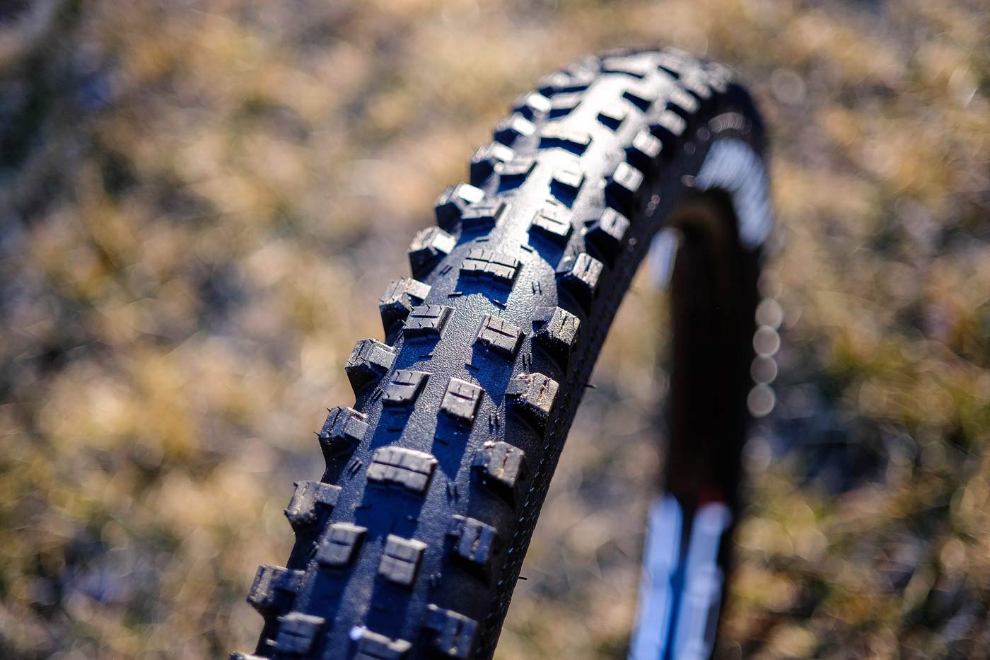 2018 Goodyear Newton ST Trail DH downhill mountain bike tires