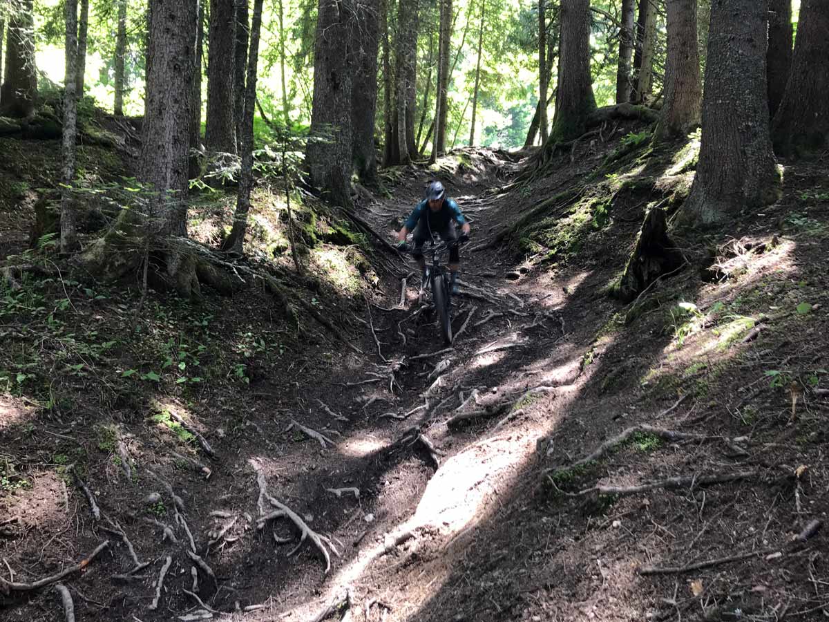 2019 Marin Alpine Trail alloy enduro mountain bike ride review