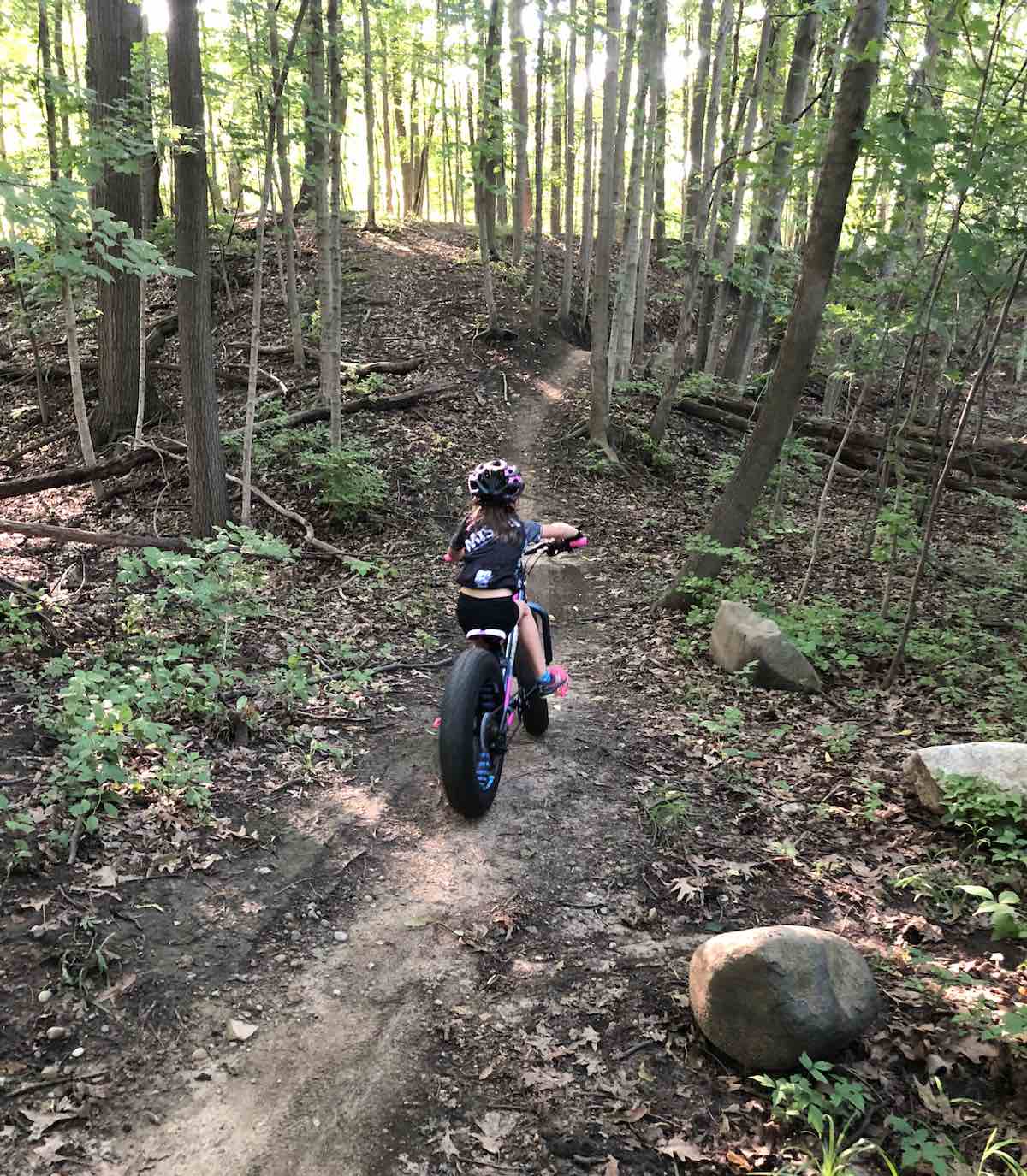 bikerumor pic of the day, Lakeview Trail in Livonia, Michigan.