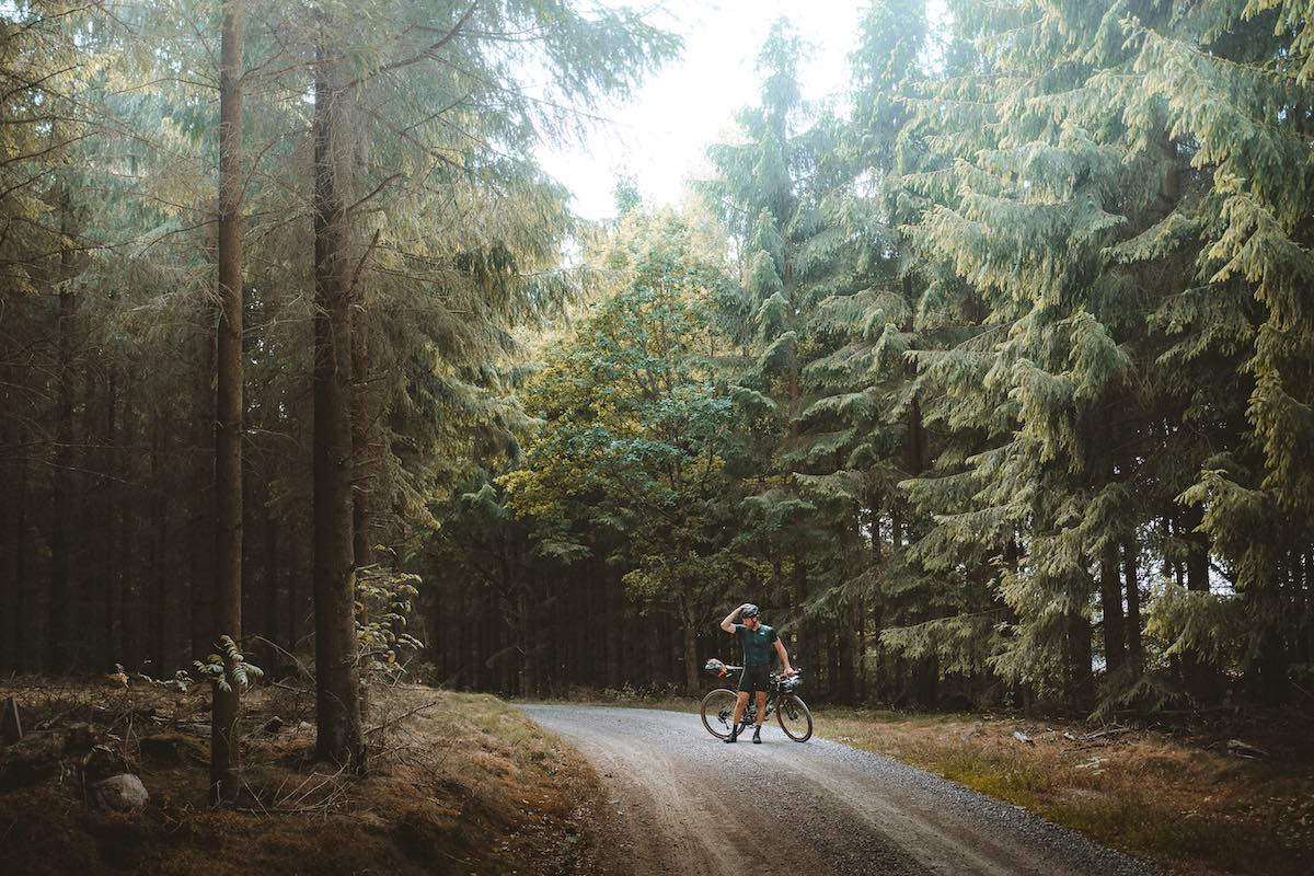 bikerumor pic of the day, gravel cycling in sweden and a swedish forest.