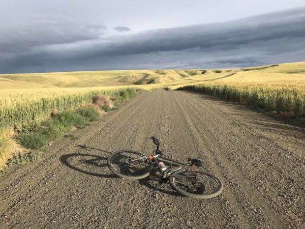 bikerumor pic of the day gravel bike ride through wheat fields in Kennewick, Washington