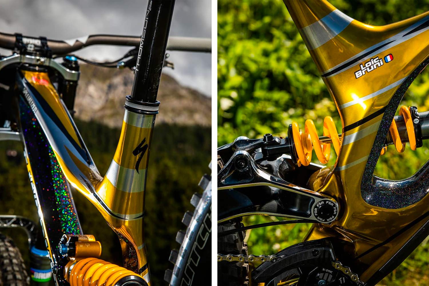 2018 UCI MTB World Championship Lenzerheide, Switzerland - custom DH downhill mountain bikes