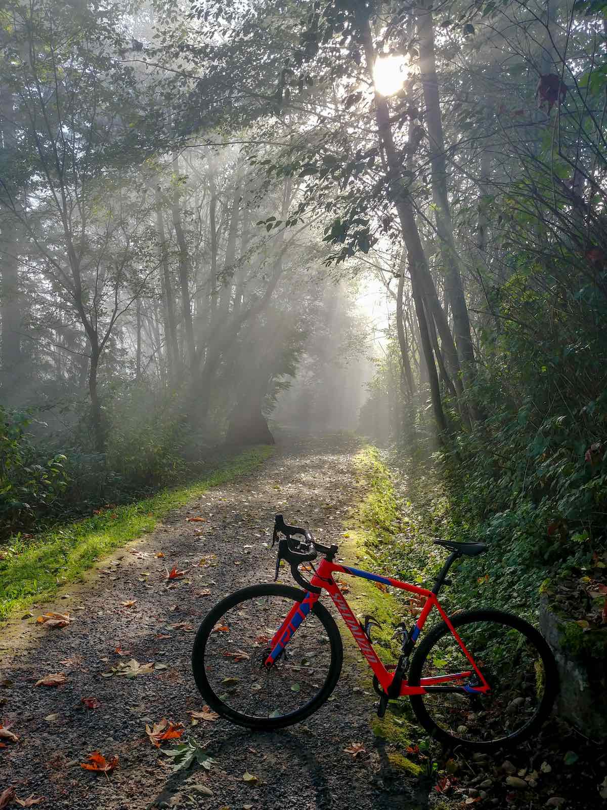 bikerumor pic of the day trans-canada trail, vancouver, Canada.