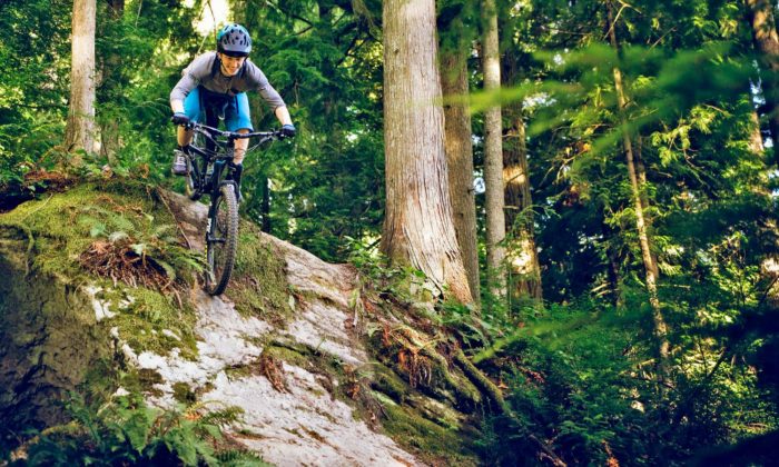 Zerode Taniwha Trail Carbon Shifts To Less Travel, In Pinion Gearbox ...