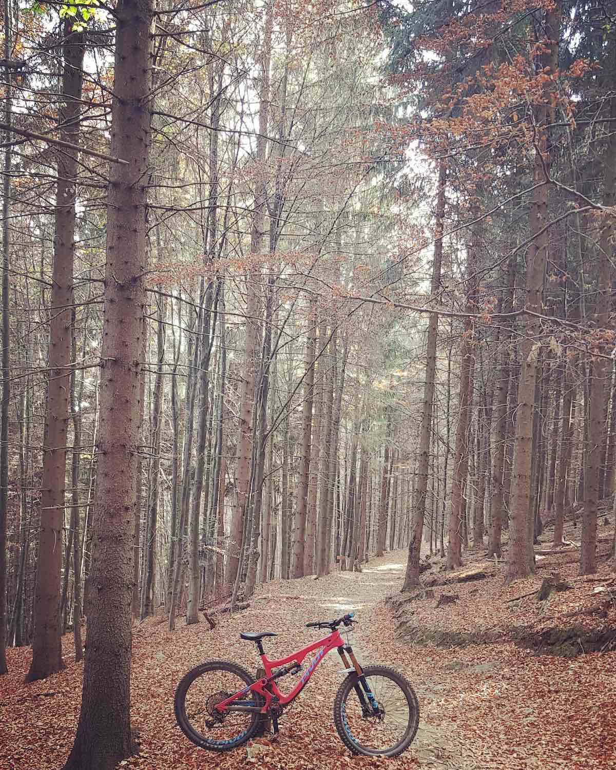 bikerumor pic of the day mountain bike park in Bischofsmais, Germany