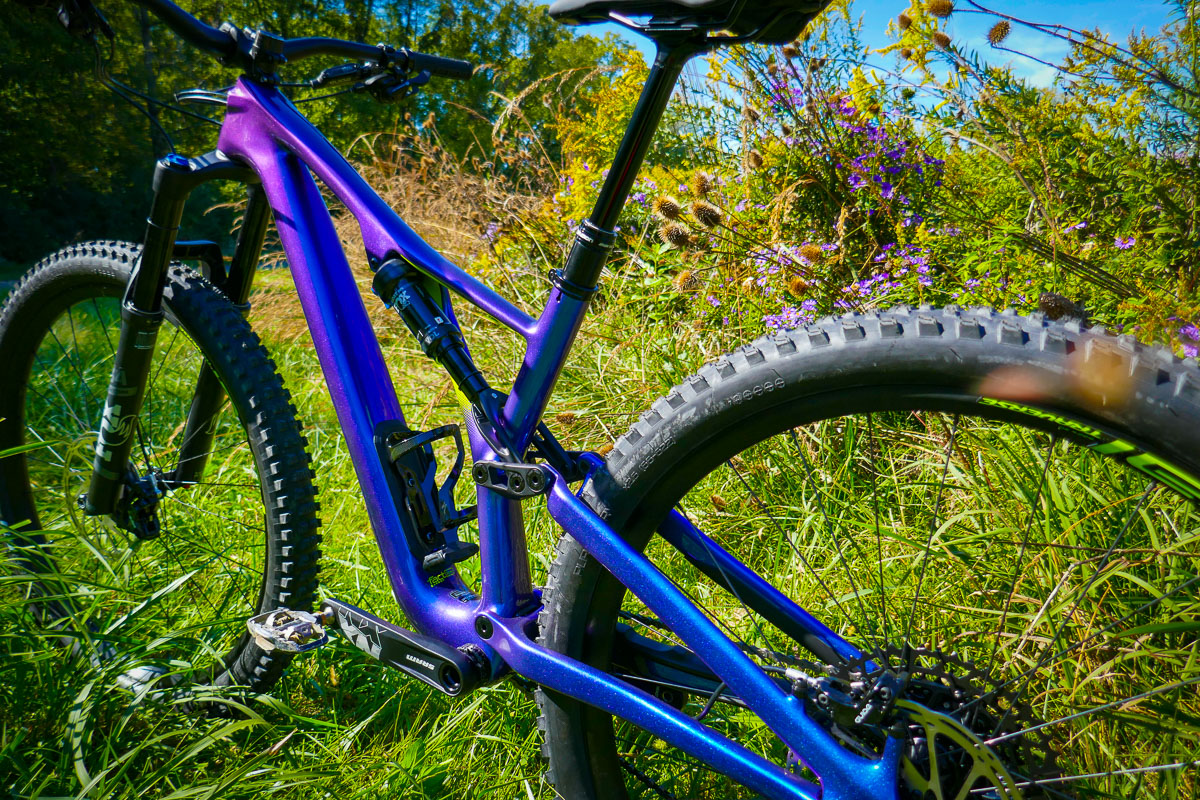 Specialized stumpjumper deals 2019 review