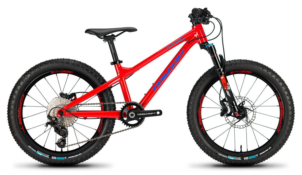 trailcraft cycles big sky 20 inch premium kids mountain bike