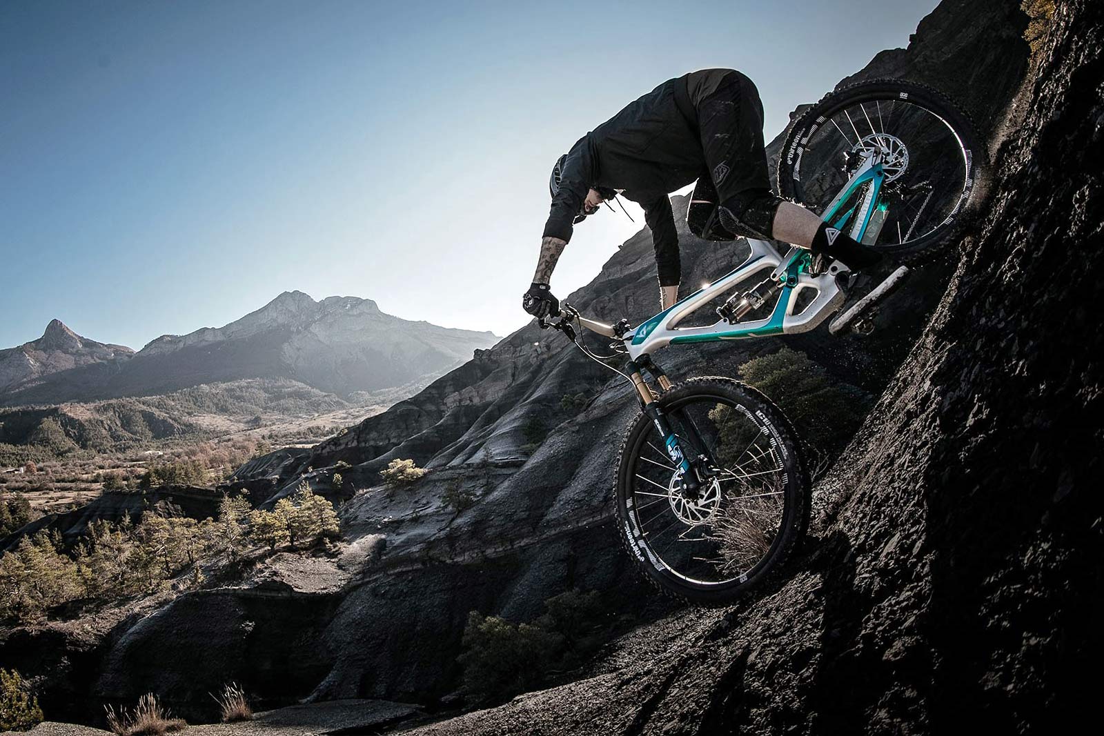 affordable downhill mountain bikes