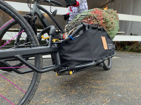 burley coho xc bike trailer review shows how to haul your christmas tree home on a bicycle