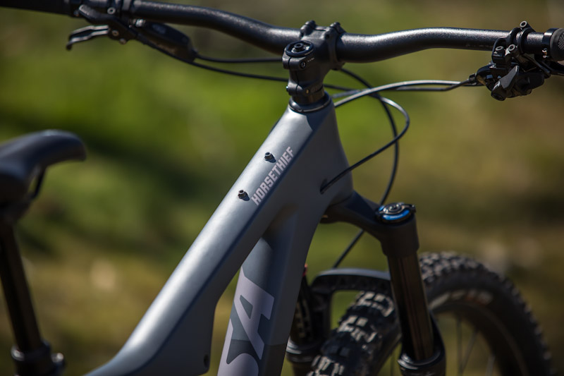 Salsa Cycles 2019 Horsethief Carbon NX, front end