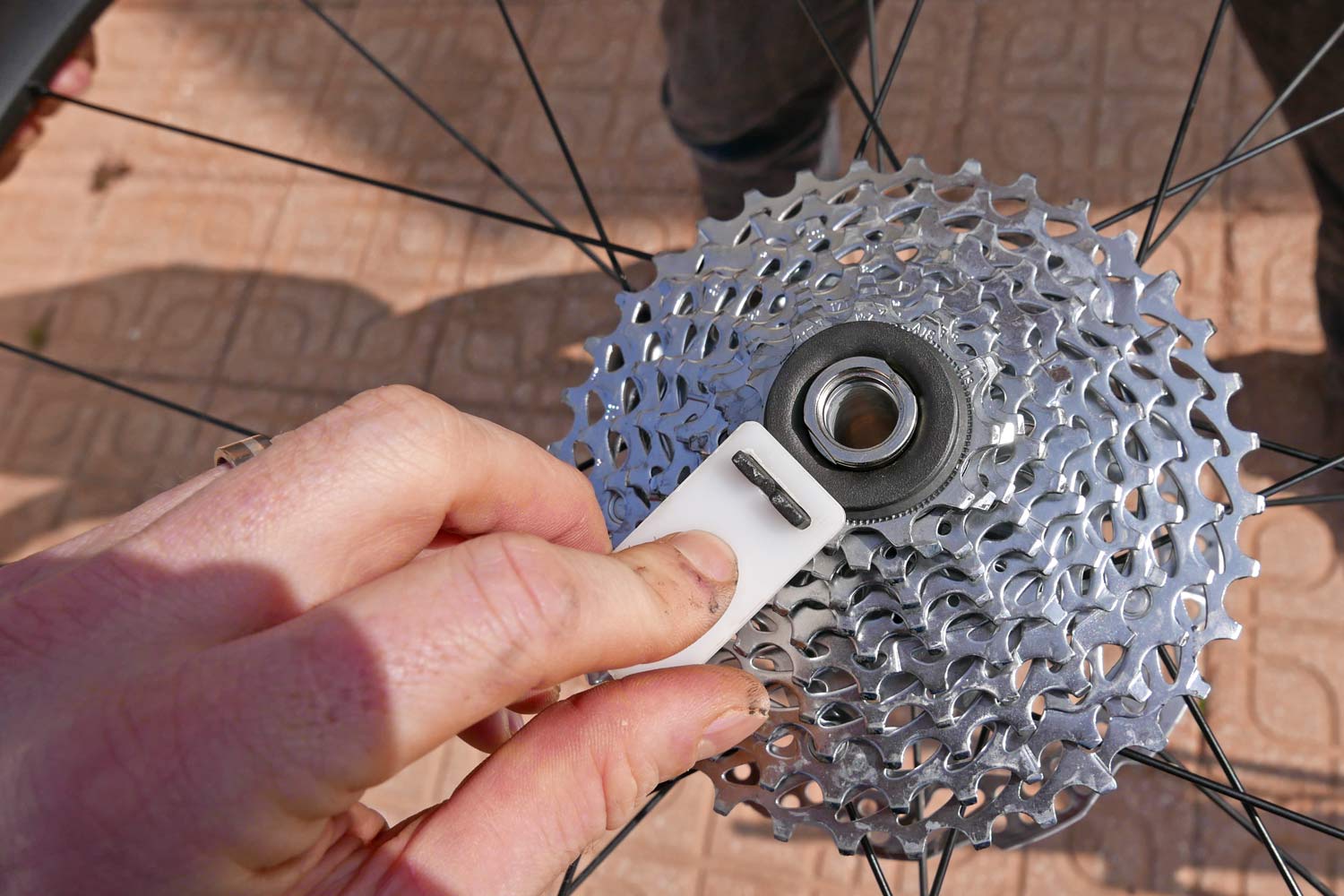 Cassette wrench hot sale bike