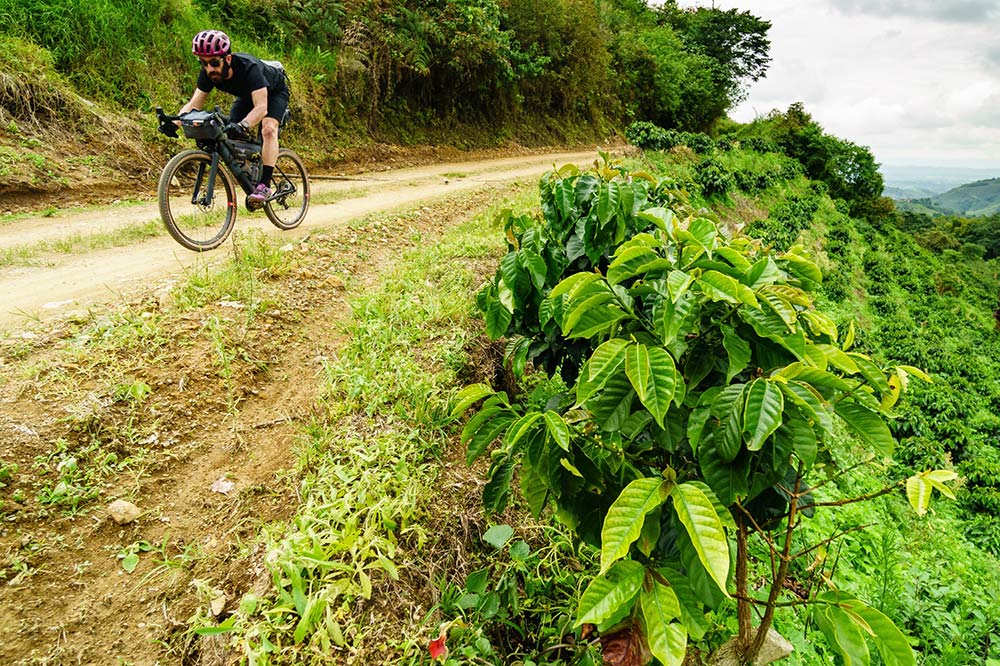 how to get a local cycling tour of coffee plantations in colombia