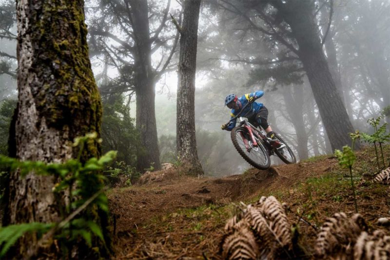 Nukeproof Mega 290 gets WORX treatment 