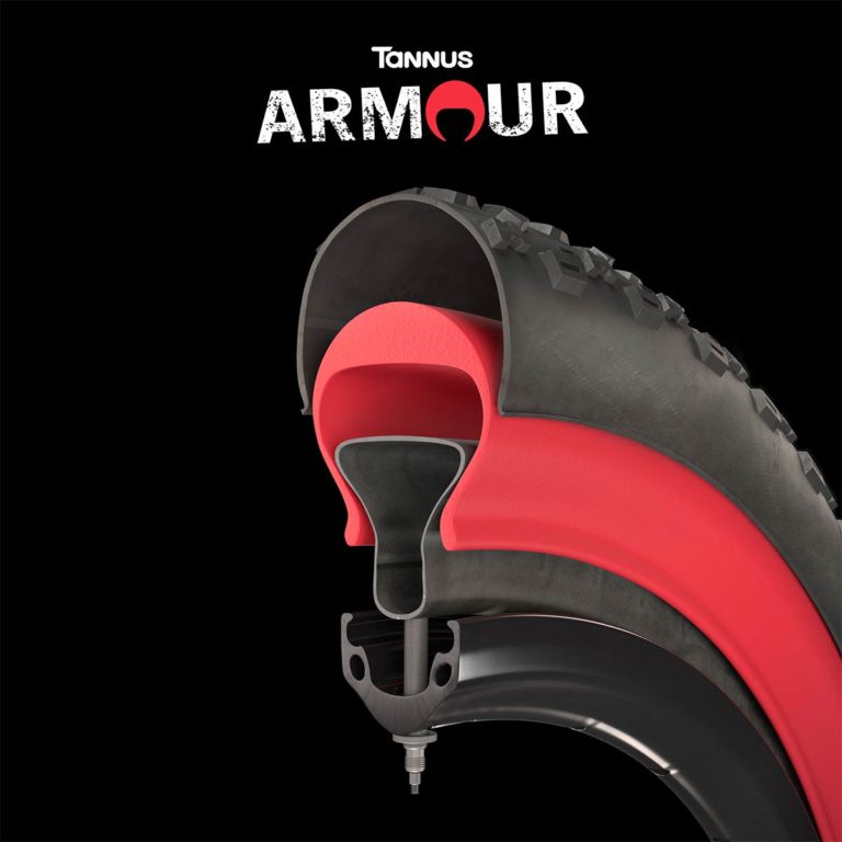 Tannus Armour tyre insert runs WITH a tube and offers near 360