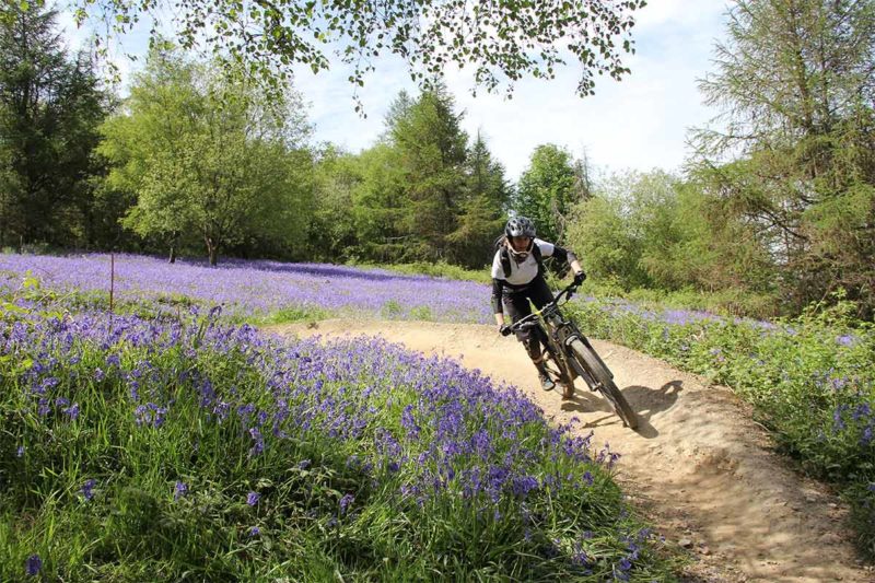 Bike-Park-Wales-Blue-bells-MTB-DOWNHILL-UPLIFT-UK