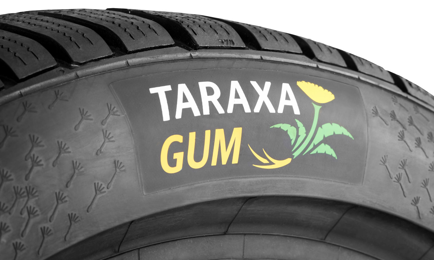 Continental sustainable dandelion rubber Taraxagum tires