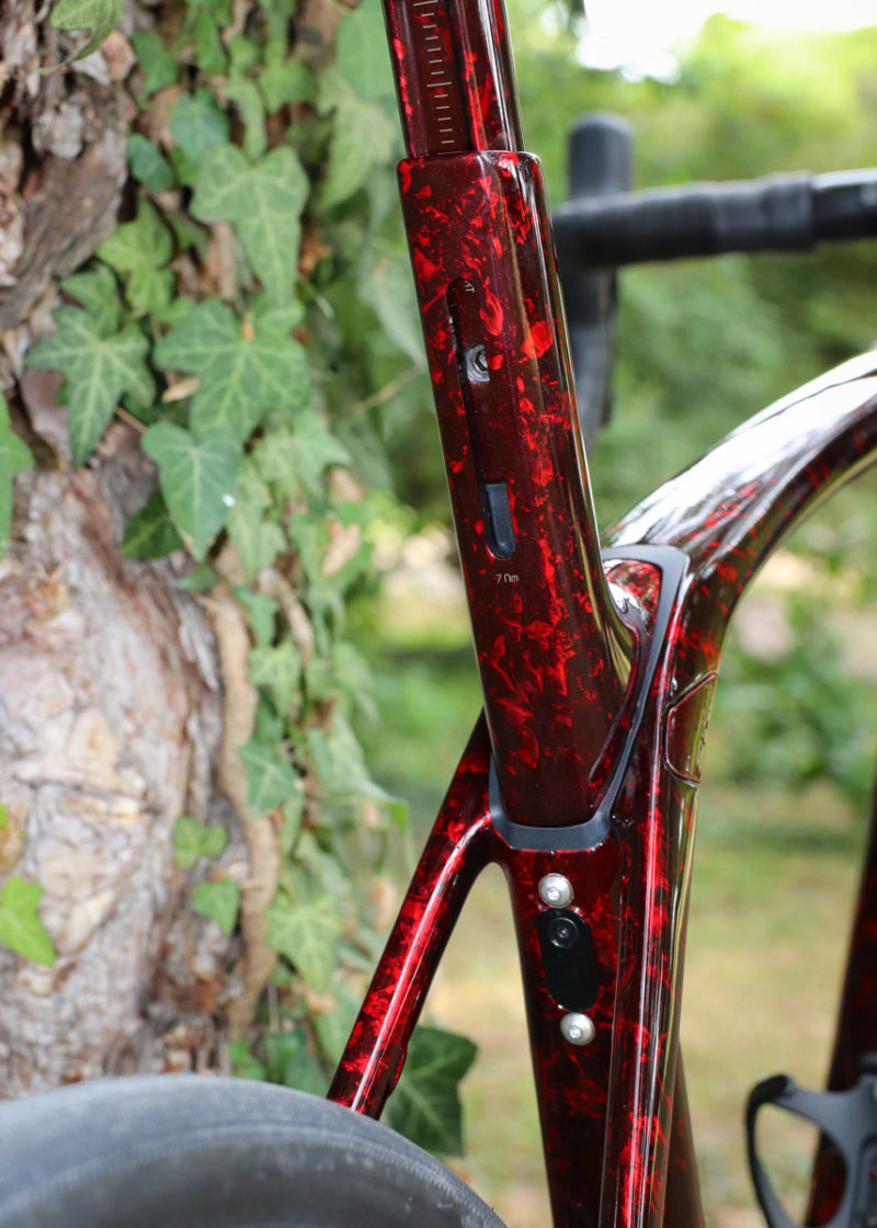 trek domane mudguards