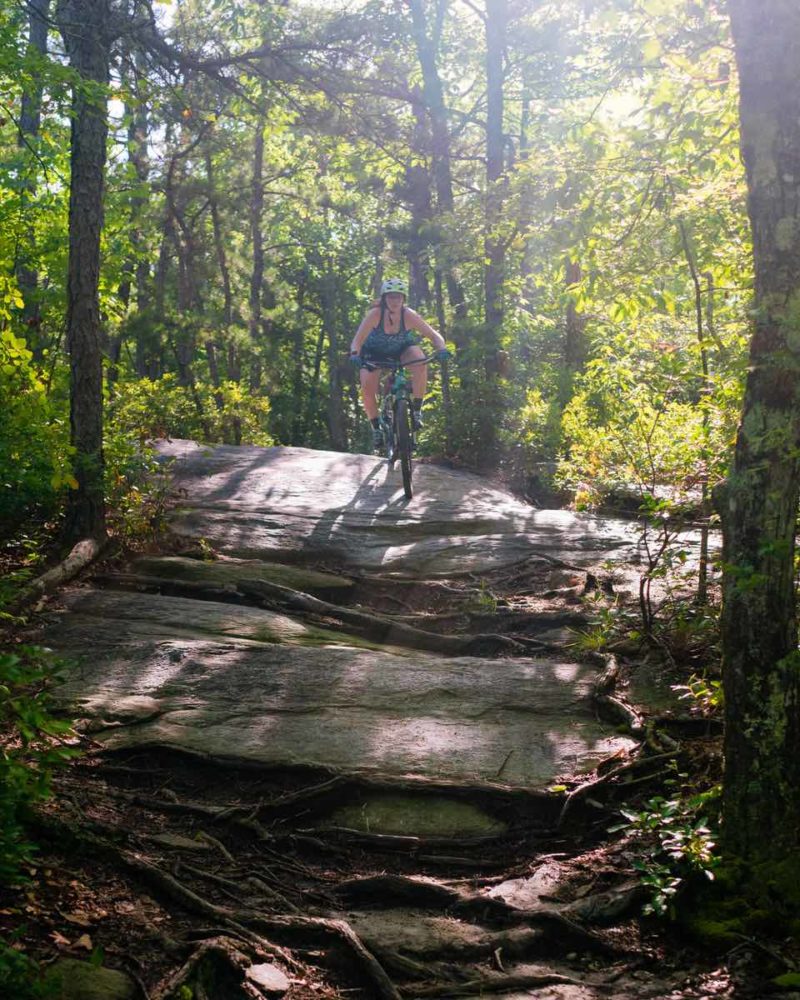 bikerumor pic of the day big rock trail in dupont state forest brevard north carolina.