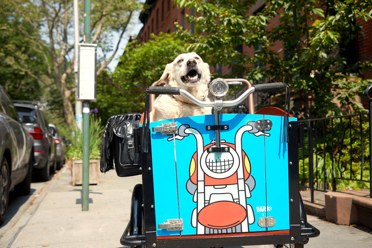 Bunch Bikes rolls out The Bark and Preschool e-cargo bikes, hauls heavy payload with ease!
